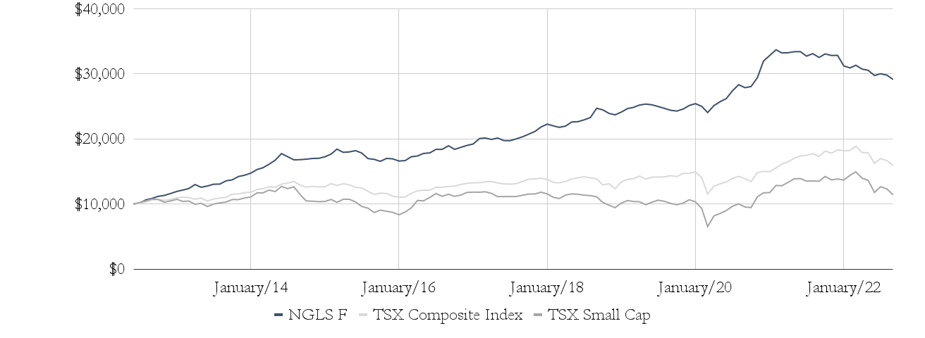 Equity Long-Short Fund LP | NewGen Asset Management